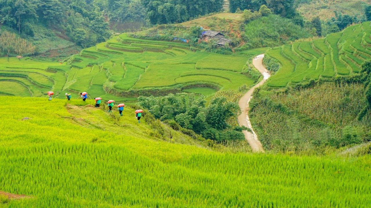Sapa Fantasea Homestay Ngoại thất bức ảnh