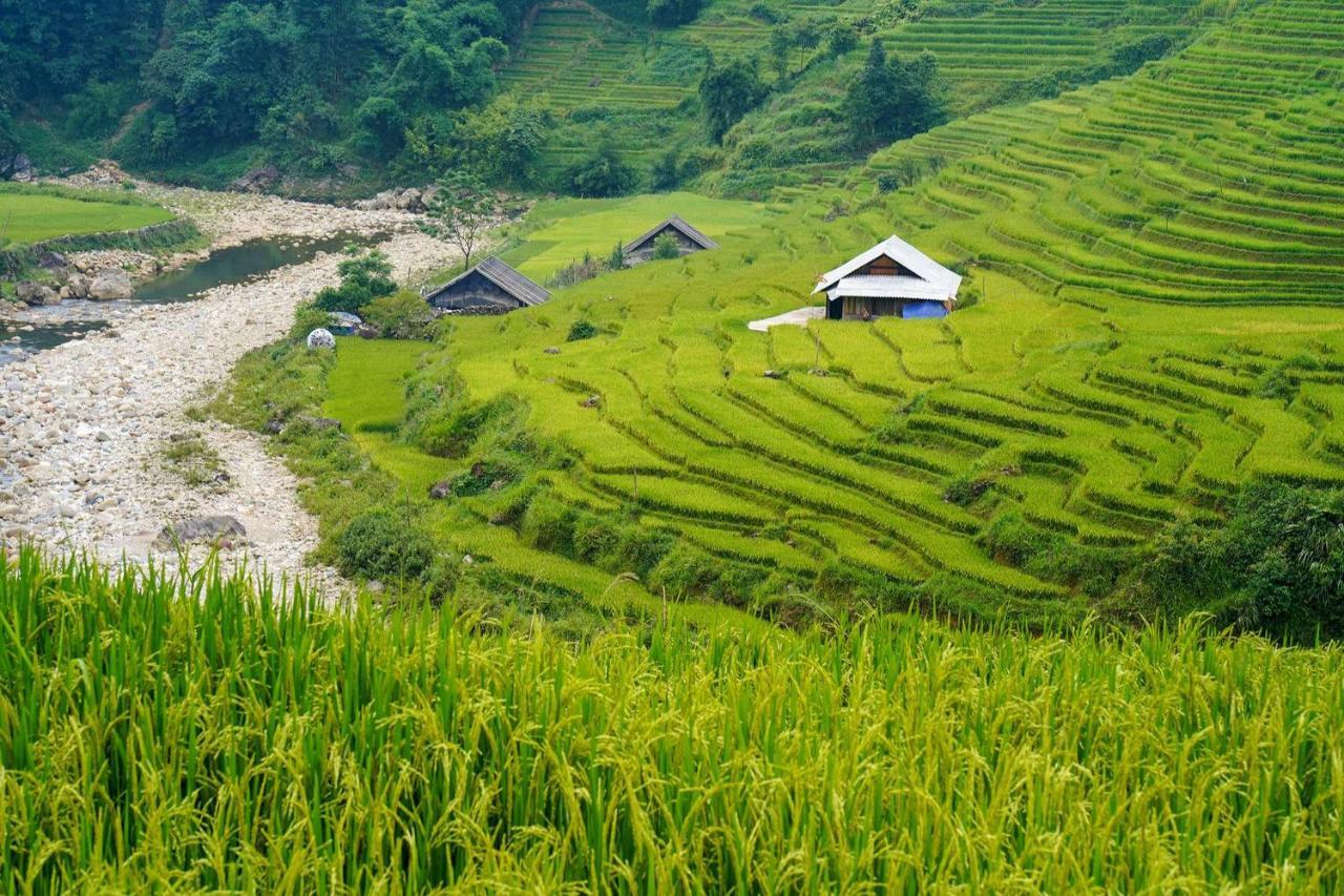 Sapa Fantasea Homestay Ngoại thất bức ảnh